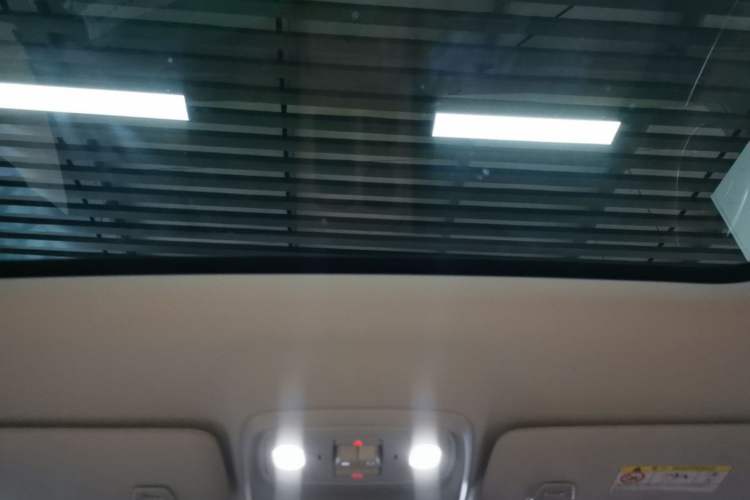 Used Leapmotor C10 2024 210 Smart Edition Headliner