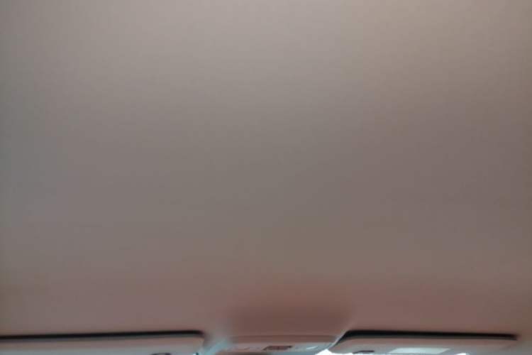 Used Leapmotor C10 2024 530 Comfort Edition Headliner