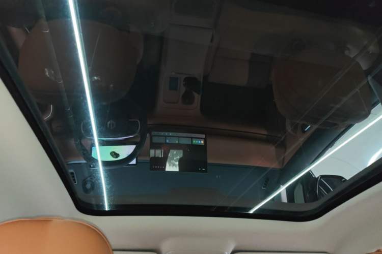 Used Leapmotor C10 2024 530 Smart Edition Headliner