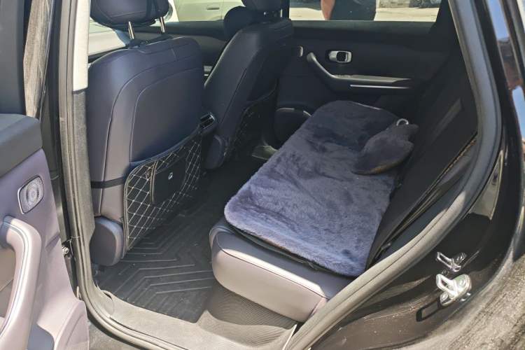 Used Leapmotor C10 2024 530 Smart Edition Left Rear Seat