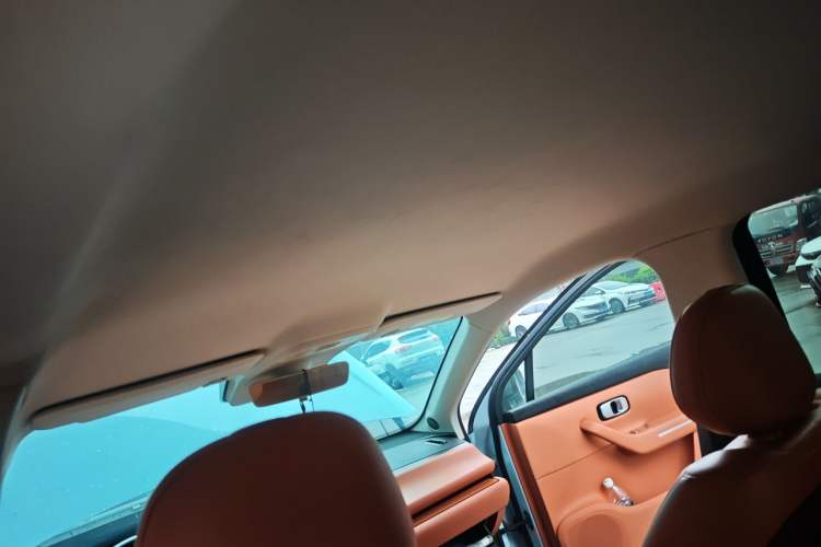 Used Leapmotor C10 2024 530 Comfort Edition Headliner