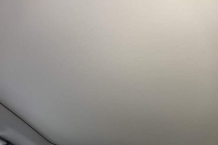 Used Leapmotor C10 2024 210 Smart Edition Headliner