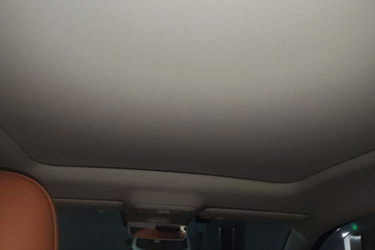 Used Leapmotor C10 2024 530 Smart Edition Headliner