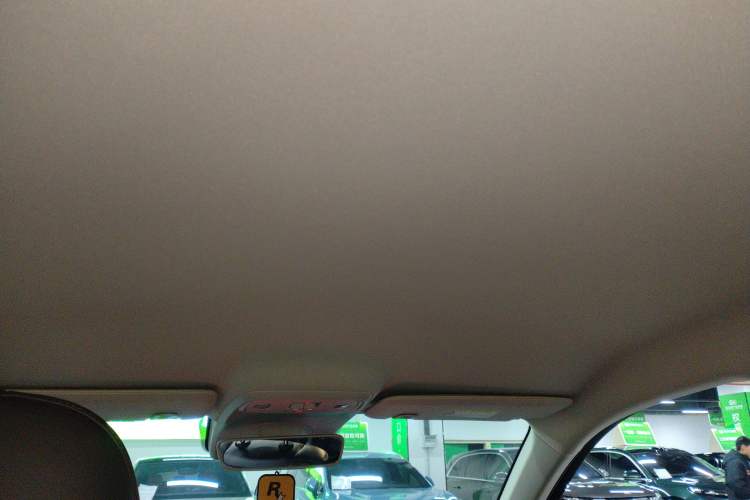 Used Leapmotor C10 2024 530 Comfort Edition Headliner