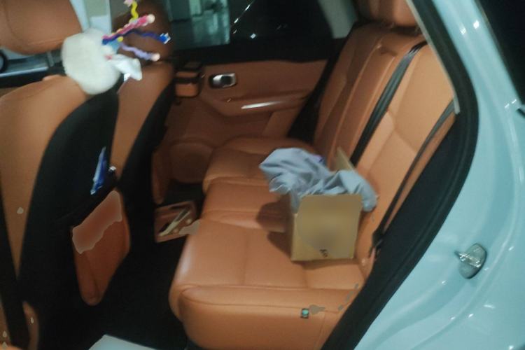 Used Leapmotor C10 2024 530 Smart Edition Left Rear Seat