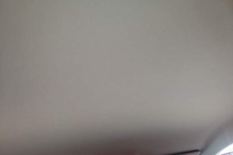 Used Leapmotor C10 2024 530 Comfort Edition Headliner