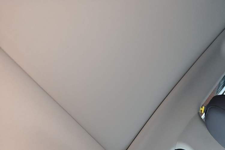 Used Leapmotor C10 2024 210 Smart Edition Headliner