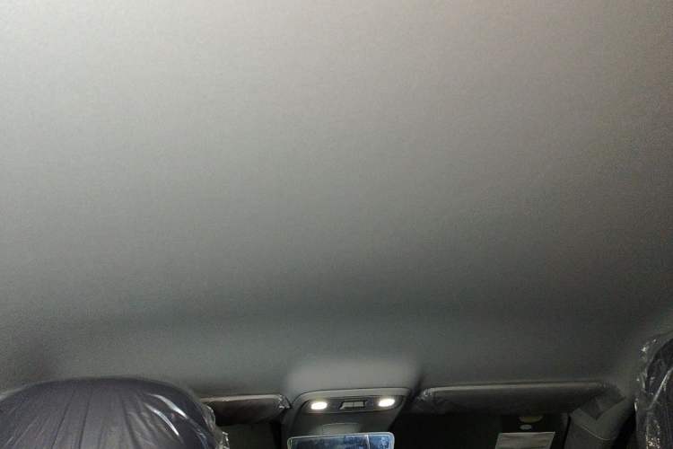 Used Leapmotor C10 2024 210 Comfort Edition Headliner
