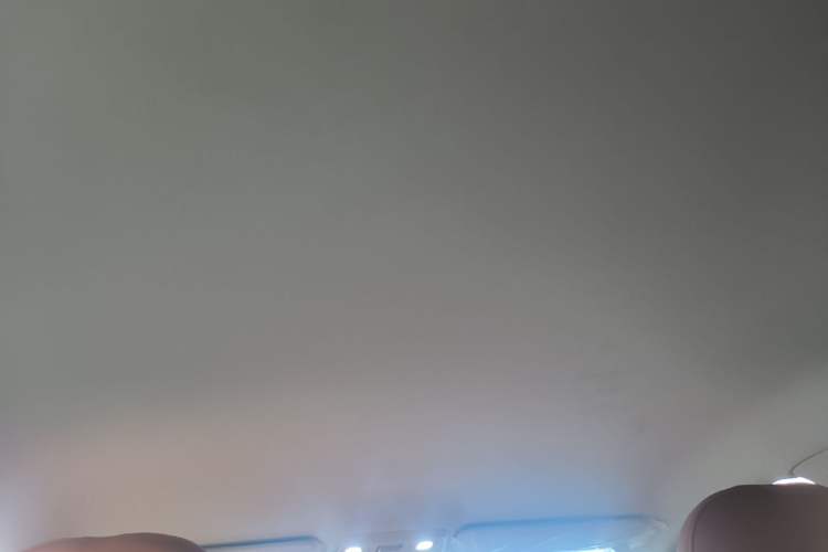 Used Leapmotor C10 2024 530 Comfort Edition Headliner