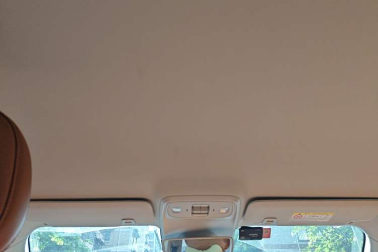 Used Leapmotor C10 2024 530 Comfort Edition Headliner