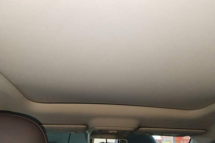 Used Leapmotor C10 2024 210 Smart Edition Headliner
