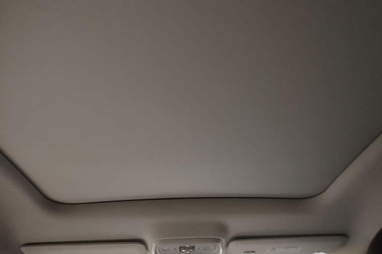 Used Leapmotor C10 2024 210 LiDAR Version Headliner