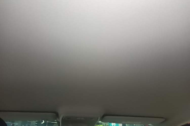 Used Leapmotor C10 2024 530 Comfort Edition Headliner