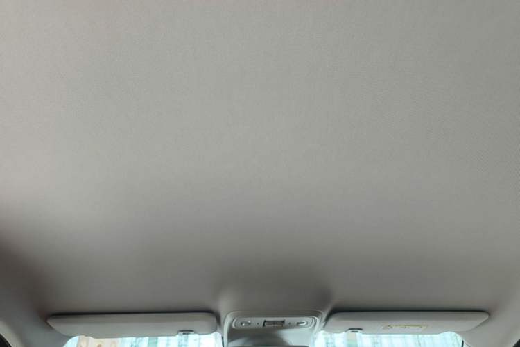 Used Leapmotor C10 2024 530 Comfort Edition Headliner