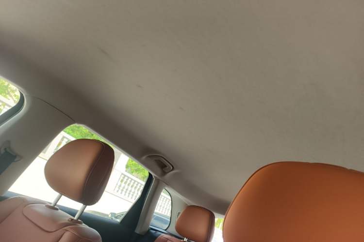 Used Leapmotor C10 2024 530 Smart Edition Headliner