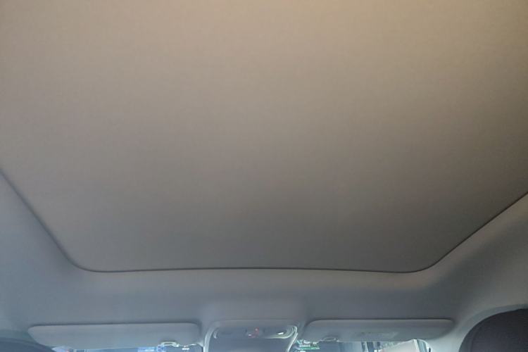 Used Leapmotor C10 2024 210 Smart Edition Headliner