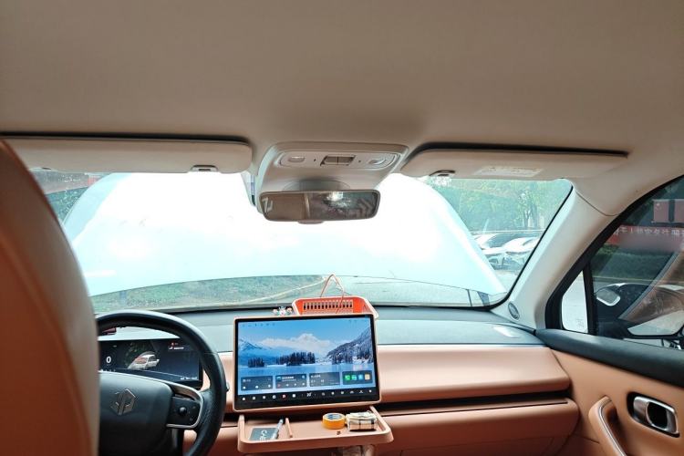 Used Leapmotor C10 2024 530 Comfort Edition Headliner