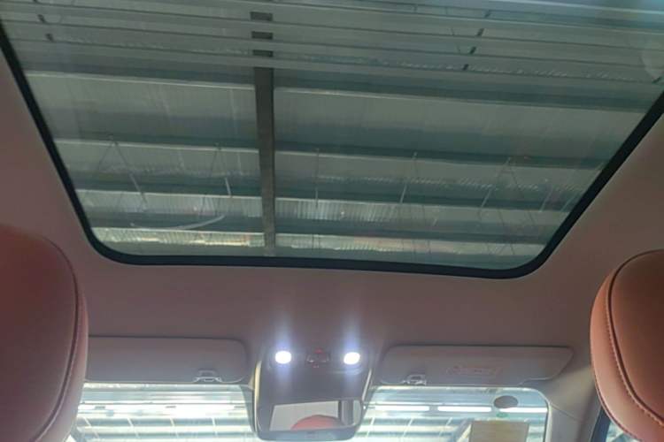 Used Leapmotor C10 2024 210 Smart Edition Headliner