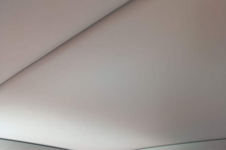 Used Leapmotor C10 2024 530 Smart Edition Headliner