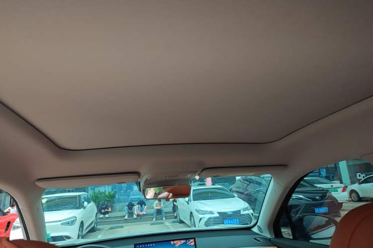 Used Leapmotor C10 2024 210 Smart Edition Headliner