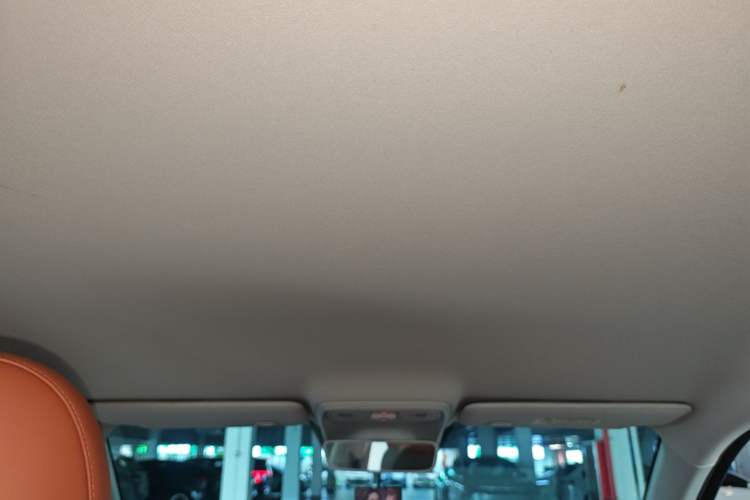 Used Leapmotor C10 2024 410 Comfort Edition Headliner