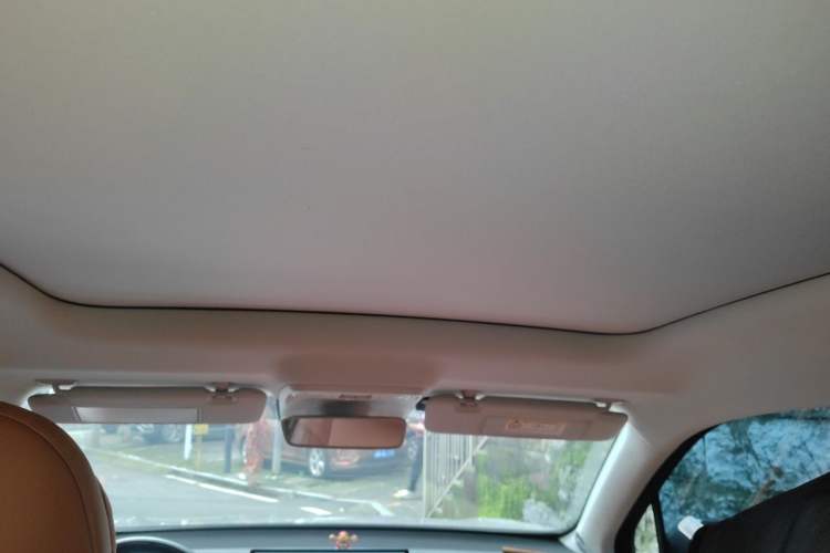 Used Leapmotor C10 2024 210 Smart Edition Headliner