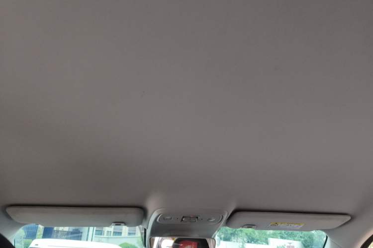 Used Leapmotor C10 2024 530 Comfort Edition Headliner