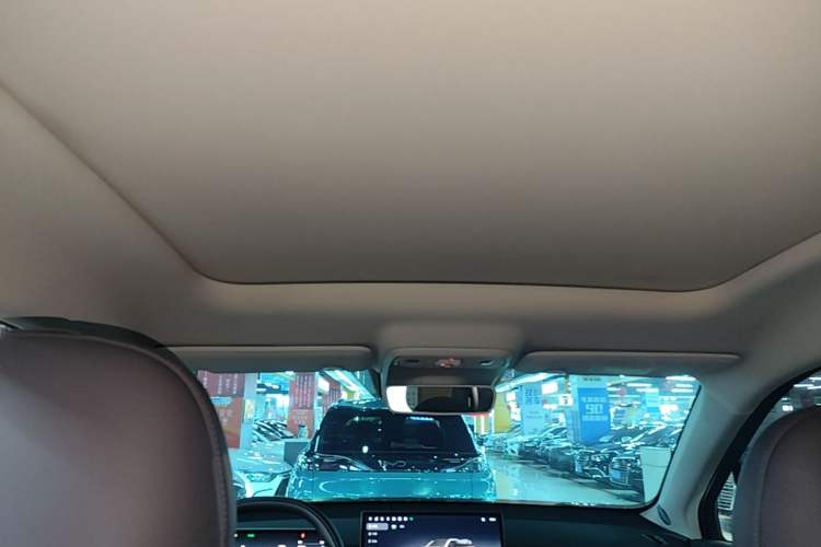 Used Leapmotor C10 2024 210 Smart Edition Headliner