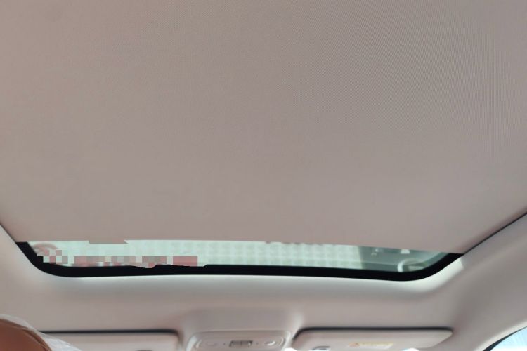 Used Leapmotor C10 2024 210 Smart Edition Headliner