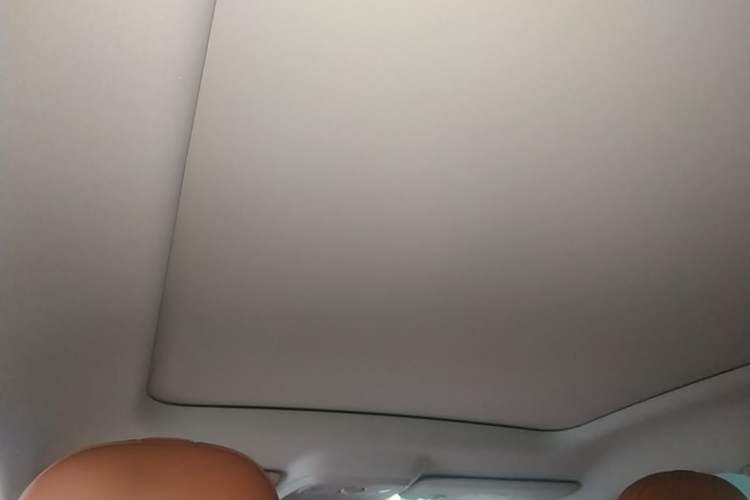 Used Leapmotor C10 2024 530 Smart Edition Headliner