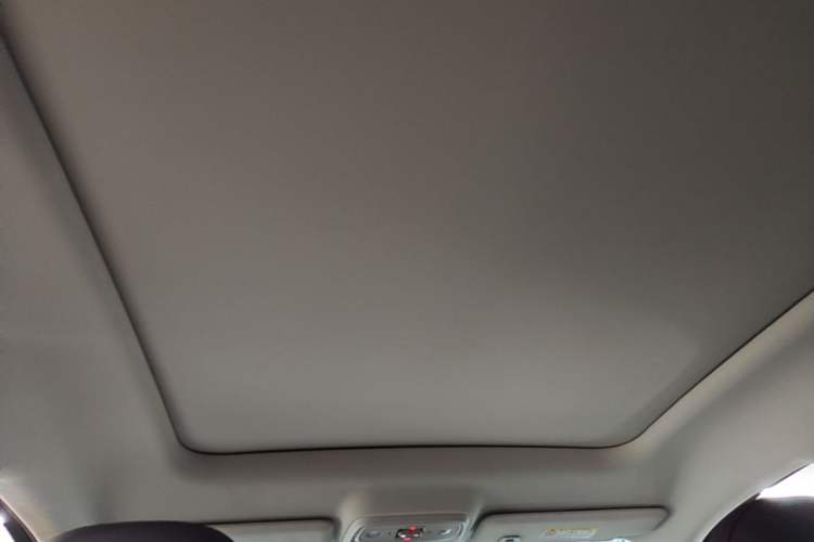 Used Leapmotor C10 2024 530 Smart Edition Headliner