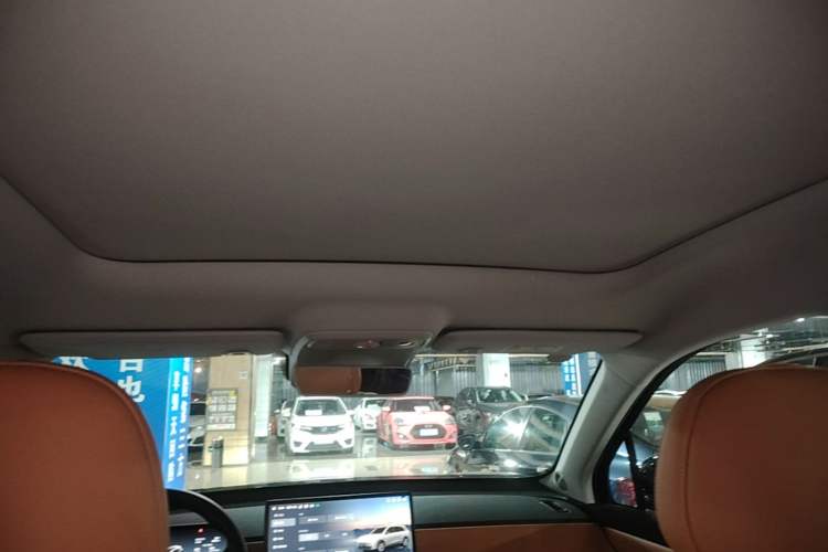 Used Leapmotor C10 2024 210 Smart Edition Headliner