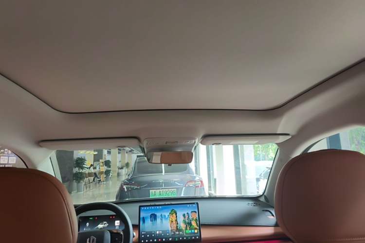 Used Leapmotor C10 2024 530 Smart Edition Headliner