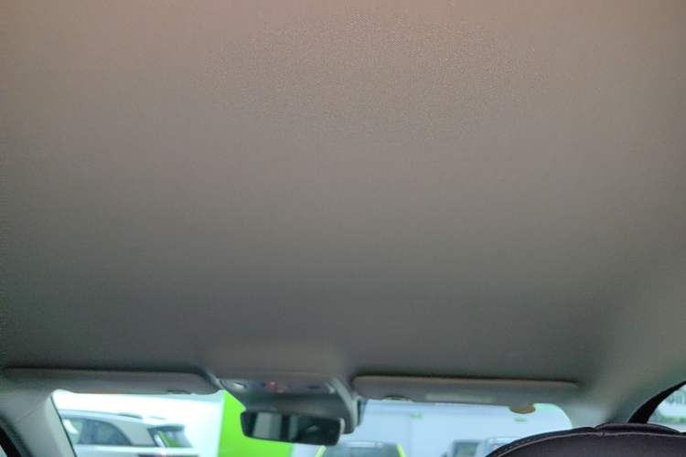 Used Leapmotor C10 2024 530 Comfort Edition Headliner