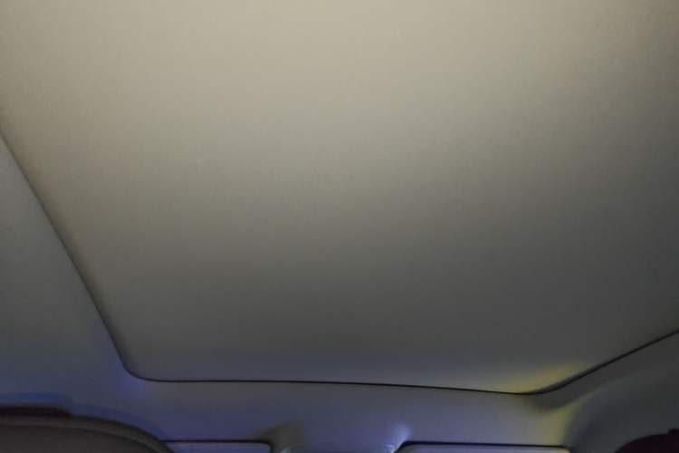 Used Leapmotor C10 2024 210 LiDAR Version Headliner