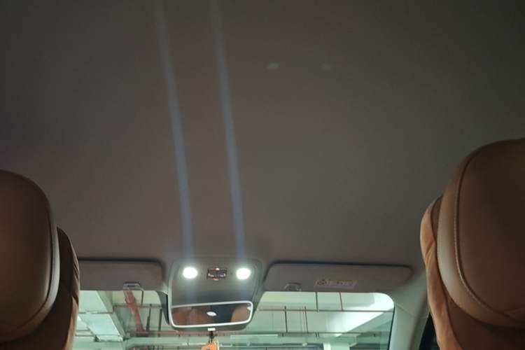 Used Leapmotor C10 2024 530 Comfort Edition Headliner