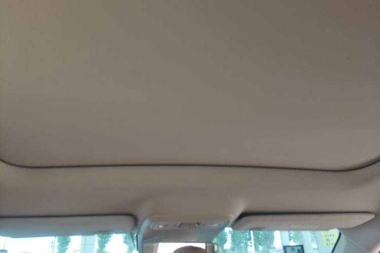 Used Leapmotor C10 2024 530 Smart Edition Headliner
