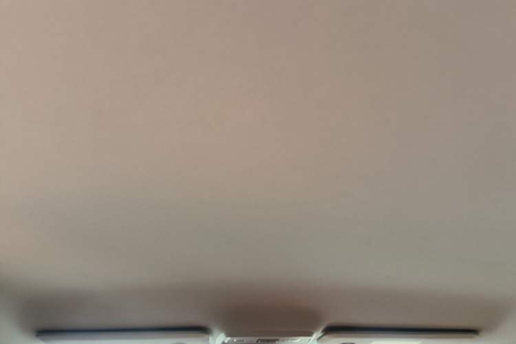 Used Leapmotor C10 2024 530 Comfort Edition Headliner