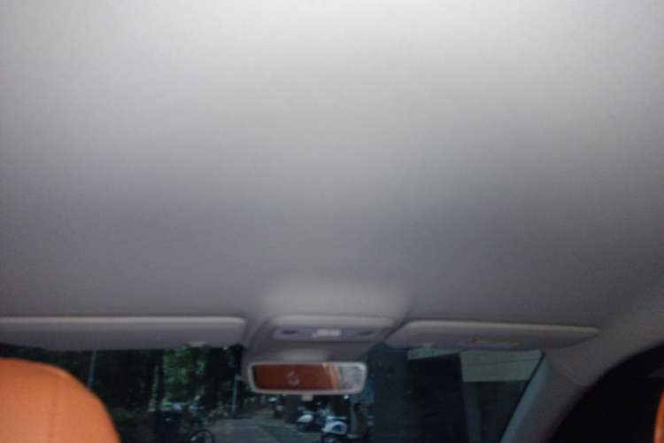 Used Leapmotor C10 2024 530 Comfort Edition Headliner