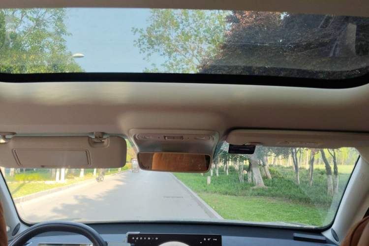 Used Leapmotor C10 2024 530 Smart Edition Headliner