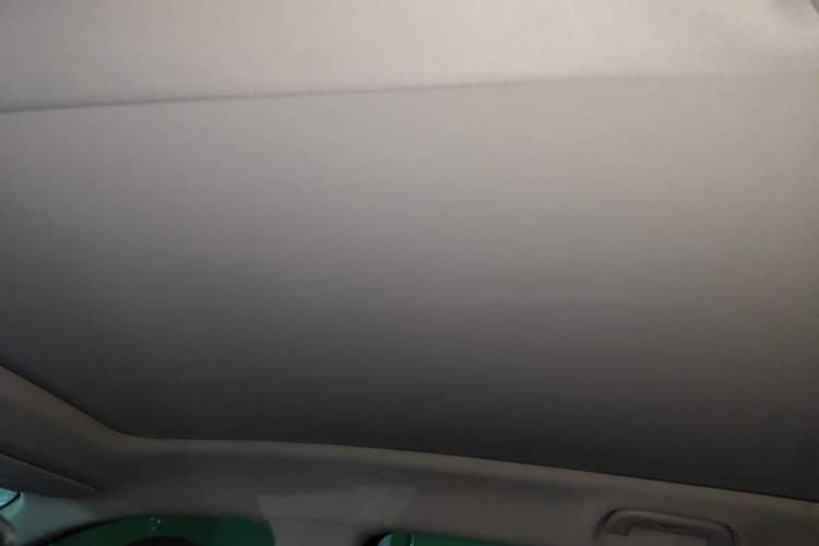 Used Leapmotor C10 2024 210 Smart Edition Headliner
