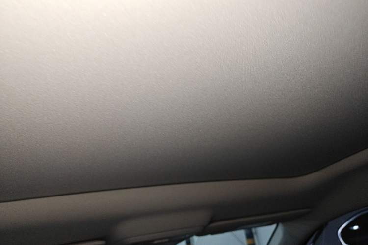 Used Leapmotor C10 2024 210 Smart Edition Headliner