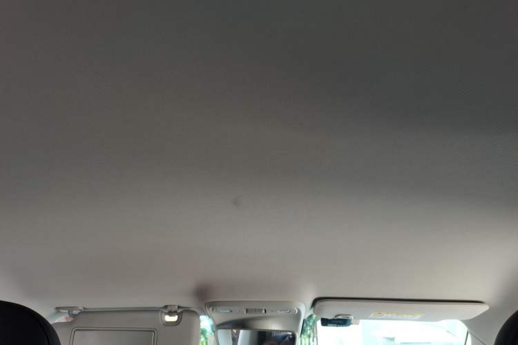 Used Leapmotor C10 2024 530 Comfort Edition Headliner