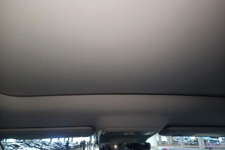 Used Leapmotor C10 2024 530 LiDAR Edition Headliner
