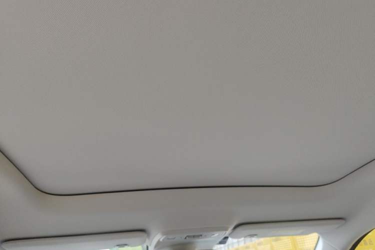 Used Leapmotor C10 2024 530 Smart Edition Headliner