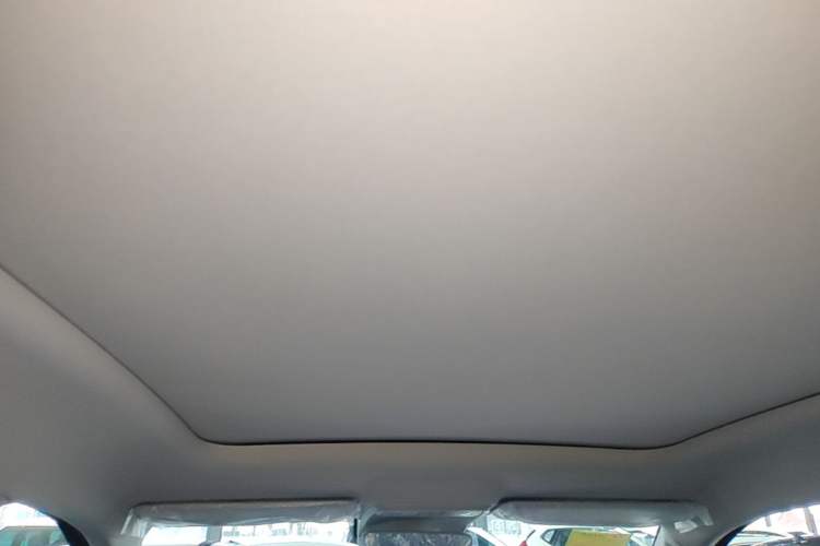 Used Leapmotor C10 2024 210 Smart Edition Headliner