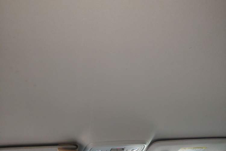 Used Leapmotor C10 2024 530 Comfort Edition Headliner