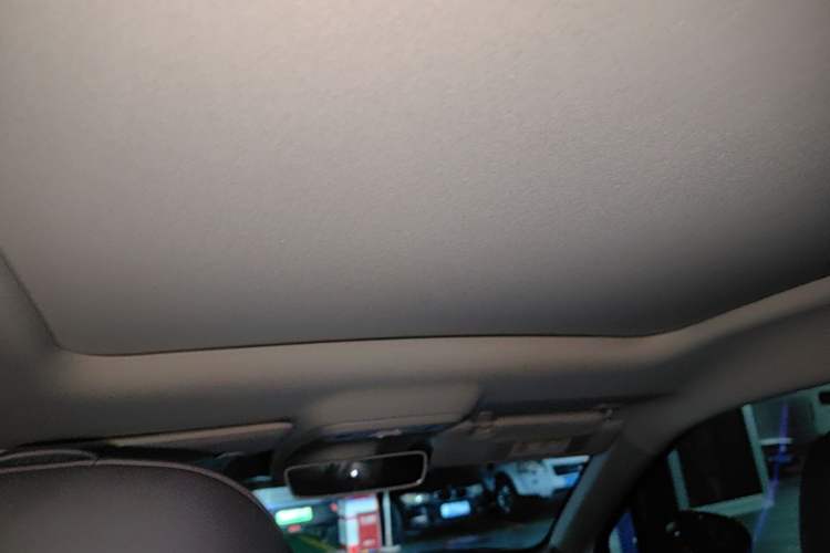 Used Leapmotor C10 2024 530 Smart Edition Headliner