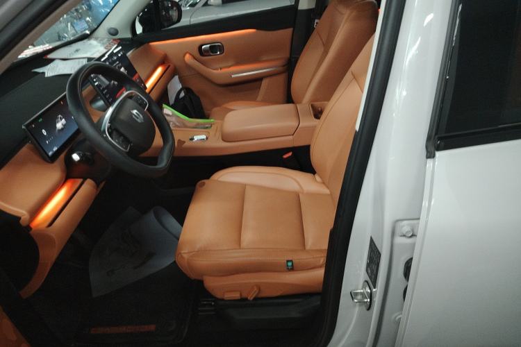 Used Leapmotor C10 2024 530 Smart Edition Left Front Seat