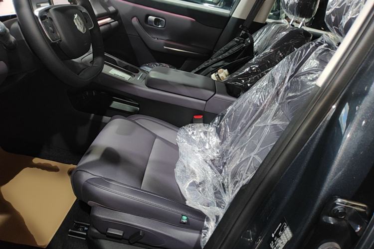 Used Leapmotor C10 2024 210 Smart Edition Left Front Seat